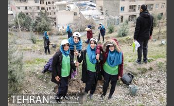 آیین غرس پنچ هزار اصله نهال در اراضی جنگل لویزان 26