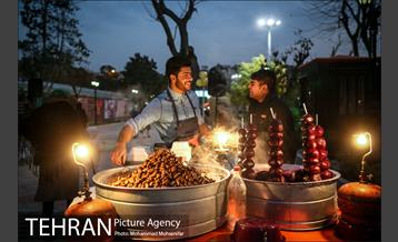 افتتاح جشنواره صد دانه یاقوت 12