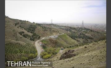 روز طبیعت در بوستان هاى منطقه ٥
