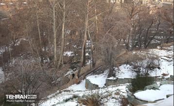 بازدید نخبگان منطقه ۵ از پروژه‌های عمرانی 20