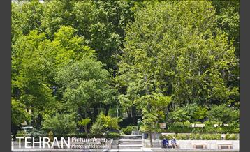 بوستان نیاوران 17