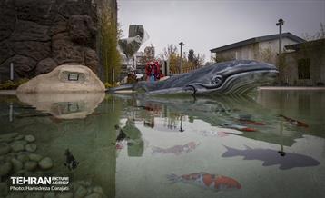 اقیانوس پارک  22