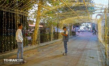 بوستان قائم 7