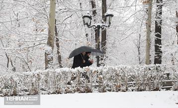 صبح برفی بوستان ملت 2