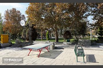 اینجا کارگاهه؛ منطقه یازده 19