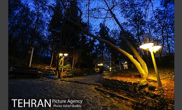 بوستان جمشیدیه 1