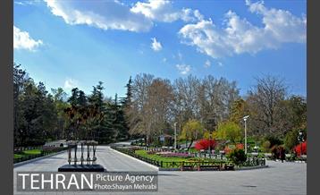 رویش گل های لاله در پارک ملت 2