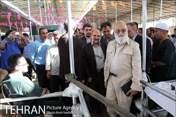 بازدید رییس شورای اسلامی شهر تهران و مدیر عامل سازمان میادین شهرداری تهران از مراکز عرضه بهداشتی دام 16