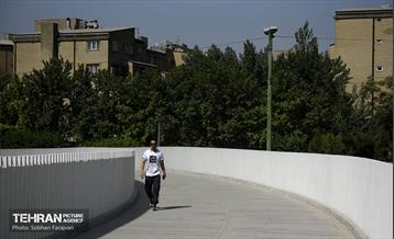 پل تندرستی 6