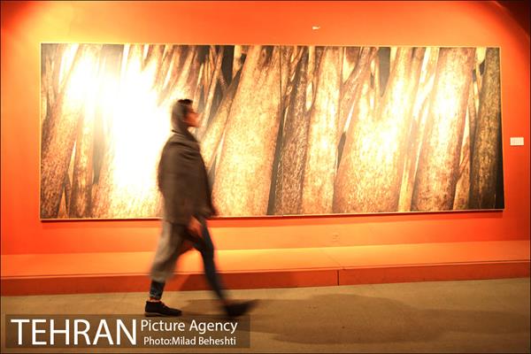 نمایشگاه آثار ناصر اویسی در موزه هنرهای معاصر تهران‎ 18