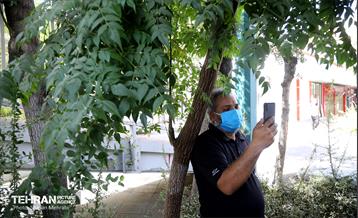 واکسیناسیون اورژانس شهر سالم در پیاده روی جاماندگان اربعین 19