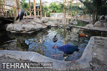 باغ پرندگان تهران 14