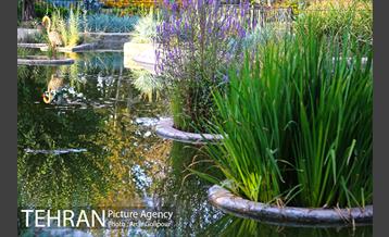 باغ راز هستی 33