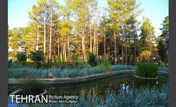 باغ راز هستی 32