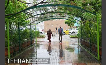 اردیبهشت بارانی پایتخت 7