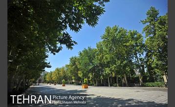 میدان مشق (باغ ملی) 35