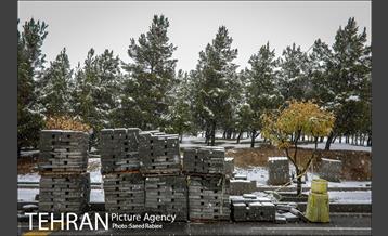 بارش نخستین برف پاییزی در تهران 12