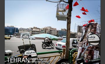 شهرنگار؛ خیابان انقلاب 2