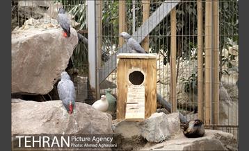 افتتاح اولین "باغچه خبر" در تهران 33