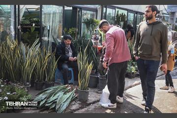 بازار گل شهید محلاتی در آخرین روزهاى سال 37