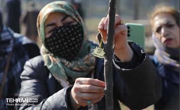 آیین یلدای مهربانی و کاشت نهال در بوستان سرخه حصار 23