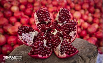 یـاقوت سرخ  31