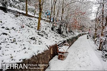 بارش برف زمستانی در تهران 11