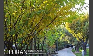 طبیعت پاییزی بلوار کشاورز 21