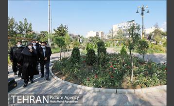 بازدید رییس سازمان بازرسی از  پروژه های منطقه هشت 4