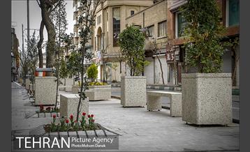 باز پیرایی خیابان 50 ساله 25