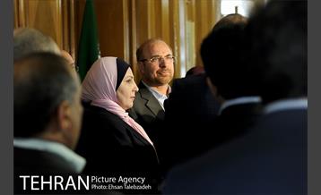 دیدار شهردار بغداد با دکتر قالیباف 19