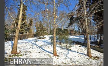 فصل زمستان در بوستان ملت 12