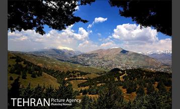 فصل بهار در بوستان های منطقه 4 14