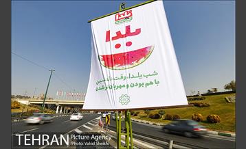 به استقبال شب یلدا همراه با زیباسازی شهر تهران 10