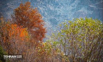 سمفونی رنگ های پاییزی - دربند 33