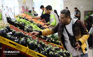 تور بازدید از میادین و بازارهای میوه و تره‌بار شهرداری تهران 53