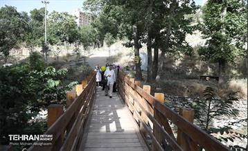 همایش پیاده روی خانوادگی در رود دره فرحزاد 67