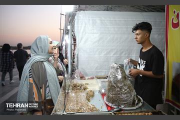 جشنواره وحدت اقوام ایرانی 4