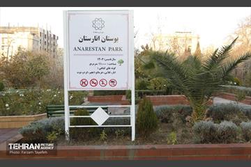 هشتادوششمین رویداد امیدوافتخار 42