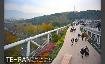 پاییز منطقه گردشگری اراضی عباس آباد 6