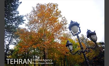 پاییز در بوستان ملت 6