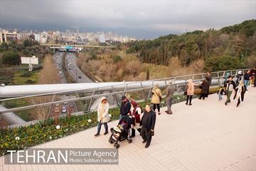 پل طبیعت در نوروز  8
