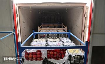 بازدید اصحاب رسانه از زنجیره تامین محصولات مصرفی ماه رمضان و میوه شب عید 48