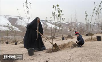 آیین روز درخت‌کاری و پایان پروژه کاشت ۲۵۰۰ هکتار کمربند سبز پایتخت  12