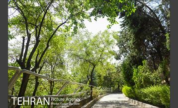 بوستان بهشت مادران 4