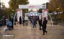 دوازدهمین جشنواره انار  28