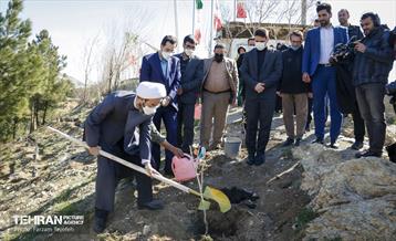 آیین غرس درخت در کوهسار با حضور معاون فرهنگی قوه قضاییه 1