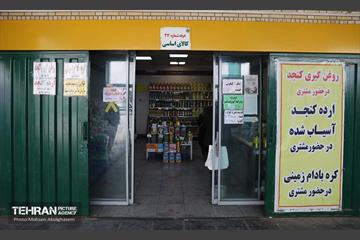 تره‌بار یلدایی 5