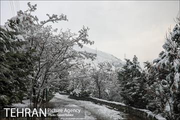 برف زمستانی پارک جمشیدیه 11