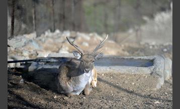 پارک پردیسان 10